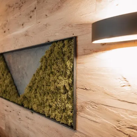 Appartement 4zero